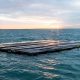 Energía solar y algas marinas, juntas en el mar por primera vez