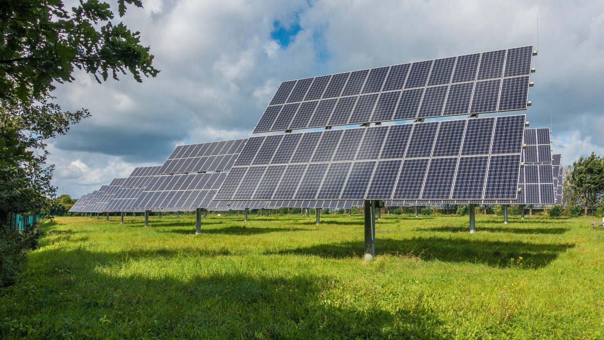 La energía solar en suelo puede ser “un refugio para la biodiversidad”
