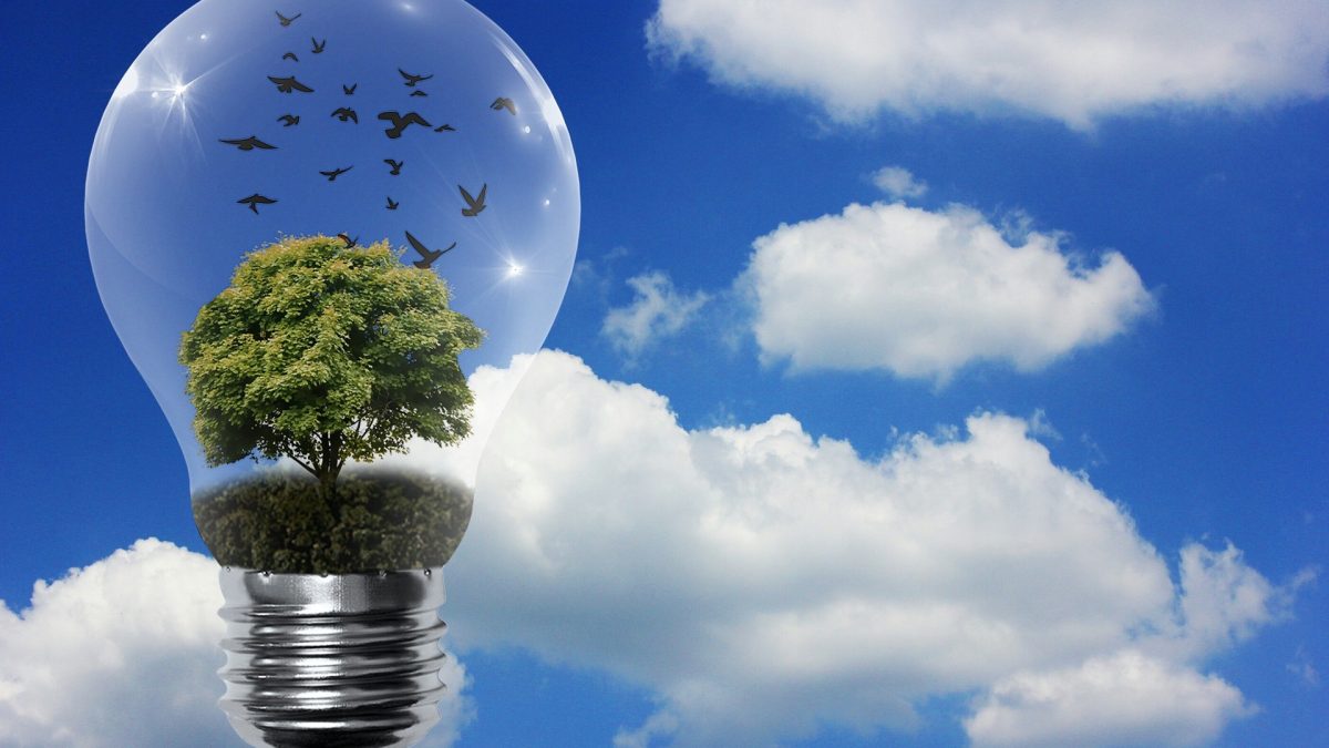 Las renovables hacen bajar los precios en los mercados eléctricos europeos en la última semana