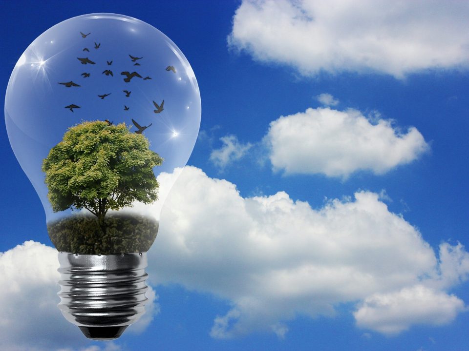 Las renovables hacen bajar los precios en los mercados eléctricos europeos en la última semana